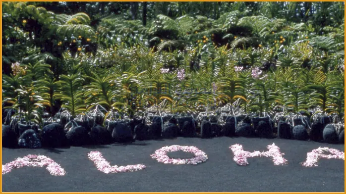 تحميل متصفح الوها 